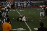 IMG 0217
