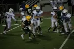 IMG 0336