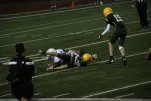 IMG 0305