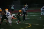 IMG 0155