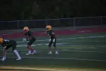 IMG 0080