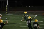IMG 0420