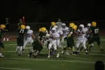 IMG 0356