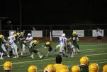 IMG 0461