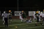 IMG 0269