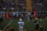 IMG 0124