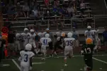 IMG 0235
