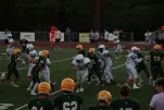 IMG 0206