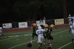 IMG 0231