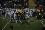IMG 0320