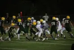 IMG 0353