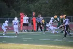 IMG 0075