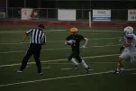 IMG 0193