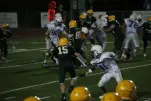 IMG 0294