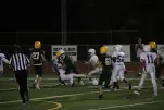 IMG 0271
