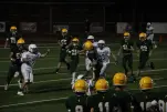 IMG 0292