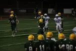 IMG 0291