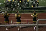 IMG 0321
