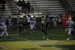IMG 0435
