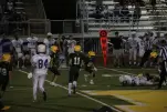 IMG 0439