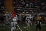 IMG 0233