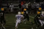 IMG 0343