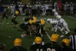 IMG 0338