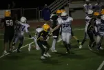 IMG 0335