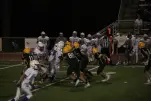 IMG 0312