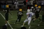 IMG 0342