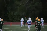 IMG 0181