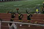 IMG 0324