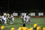 IMG 0460