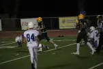 IMG 0384