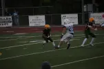 IMG 0224