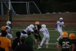 IMG 0173