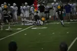 IMG 0308