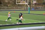 IMG 0241