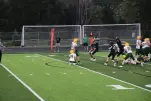 IMG 0339