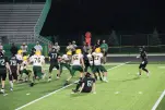 IMG 0395