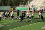 IMG 0041