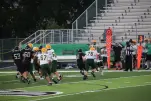 IMG 0310