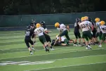 IMG 0290