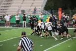 IMG 0268