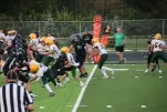 IMG 0257