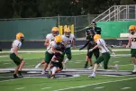 IMG 0226