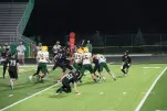 IMG 0398