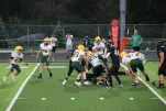 IMG 0344