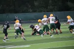 IMG 0289