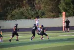 IMG 0127